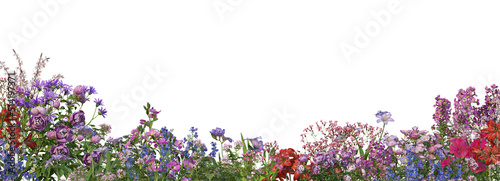 3d render close up Flowers and trees on a white background