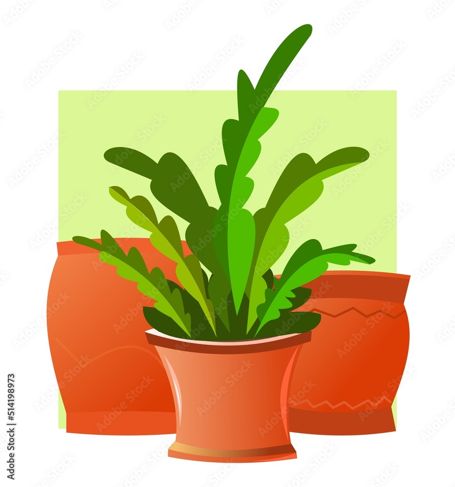 Indoor plants and flowers. In ceramic pots. Homemade beautiful herbs. Isolated on white background. Still life. Cartoon fun style. Vector