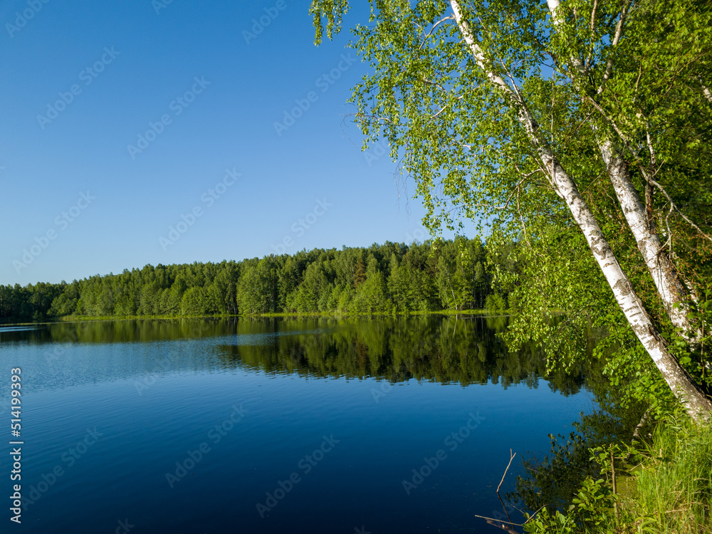 lake in the forest lake in the forest