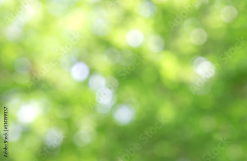 Green bokeh on nature abstract blur background green bokeh from tree.Mock up for display. montage of product,Banner or header for advertise on social media,Spring and Summer.
