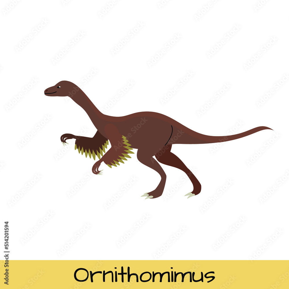 Ornithomimus dinosaur vector illustration isolated on white background.