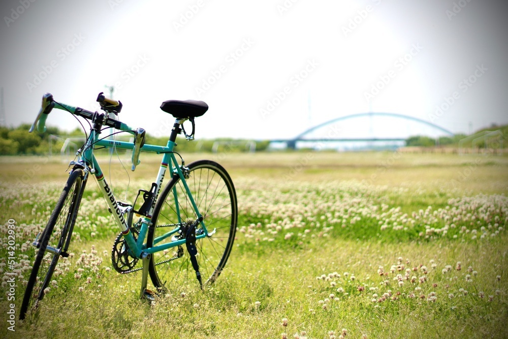 bicycle in the field