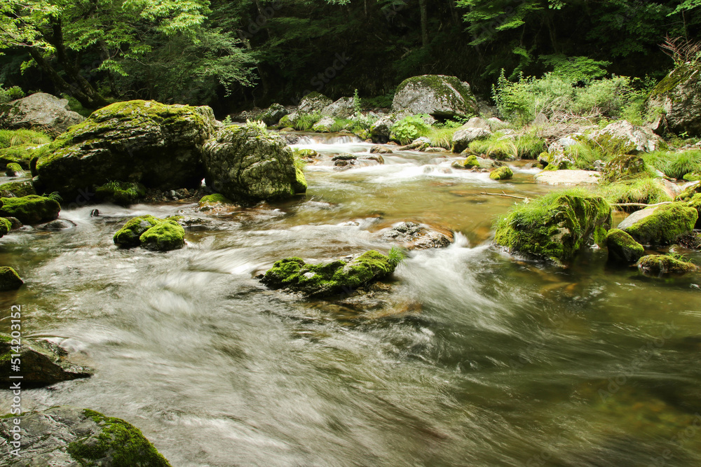 愛媛県内子町 小田深山渓谷の風景
愛媛県内子町 小田深山渓谷の風景