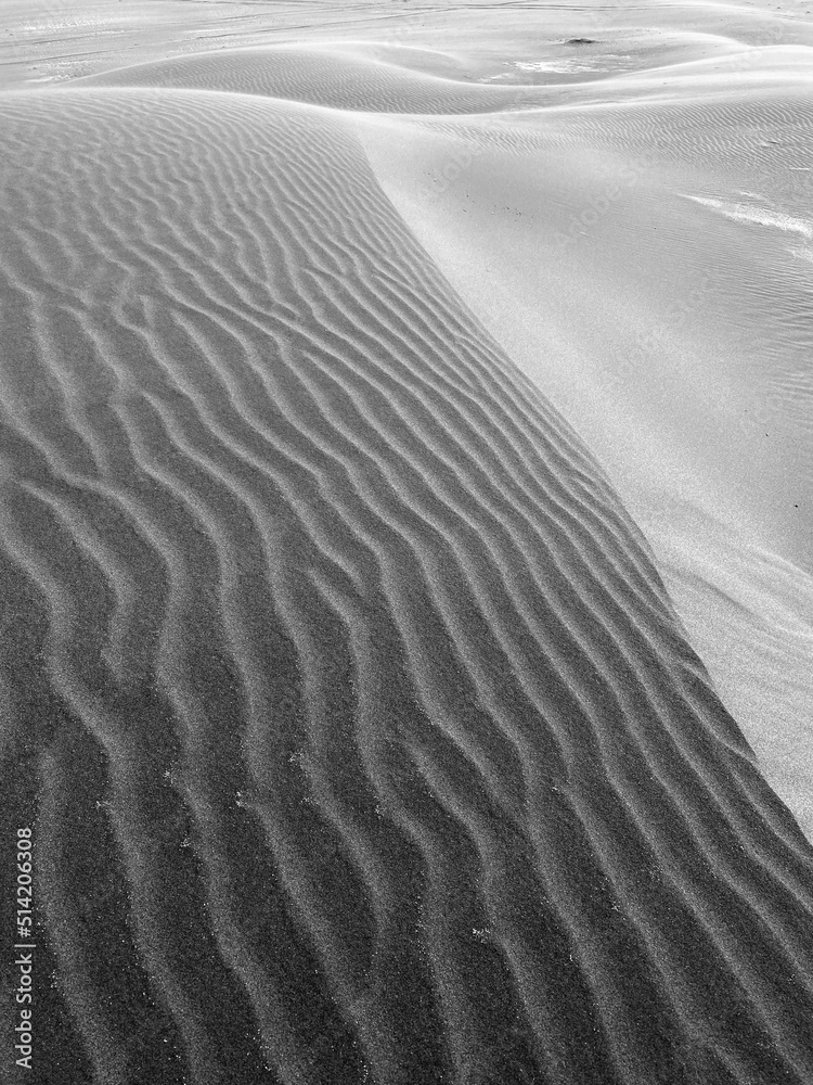 Obraz premium ripples in the sand