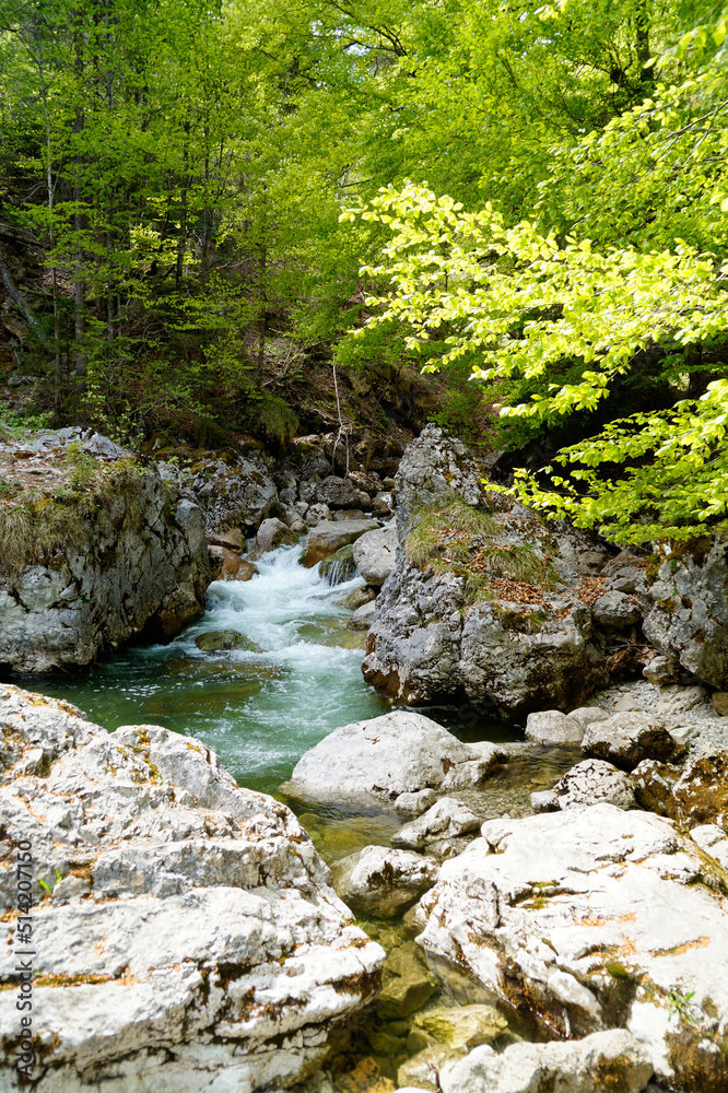 an emerald green brook (Steinacher Achen river) in Pfronten, Fallmühle, in the Bavarian Alps of the Allgaeu region (Allgaeu, Bavaria, Germany) an emerald green brook (Steinacher Achen river) in Pfronten, Fallmühle, in the Bavarian Alps of the Allgaeu region (Allgaeu, Bavaria, Germany)