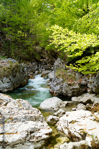 an emerald green brook (Steinacher Achen river) in Pfronten, Fallmühle, in the Bavarian Alps of the Allgaeu region (Allgaeu, Bavaria, Germany) 