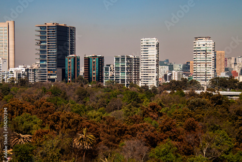 Panoramic view of Mexico City. Lush green forest trees and downtown district skyline, huge skyscrapers, and glass towers in the city center of the Central American capital, CDMX, México. © Daniel