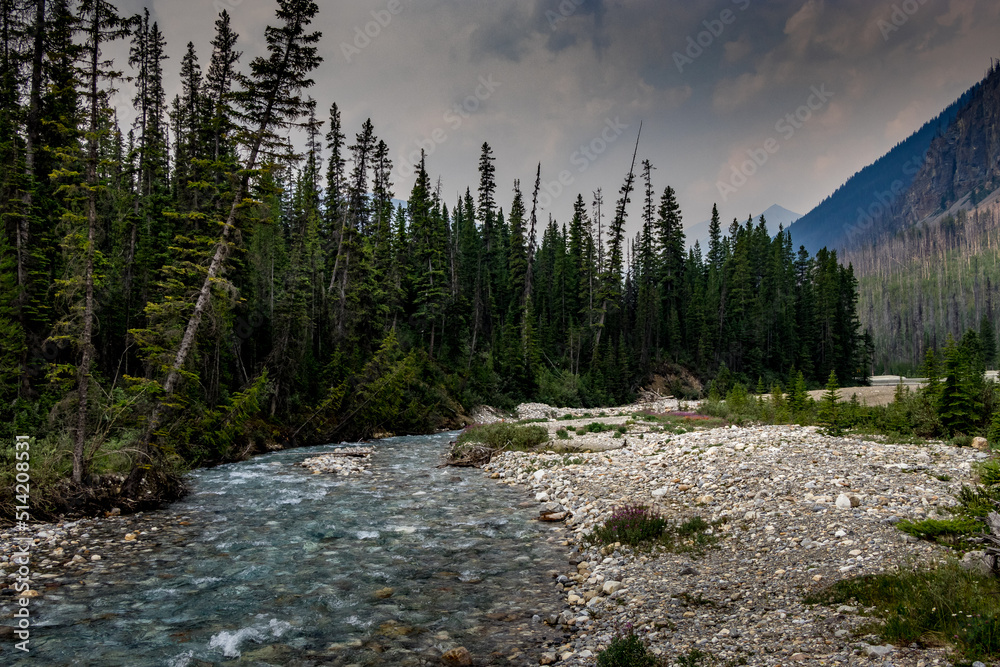 Fototapeta premium Tokkum Creek rolls on Kootenay National Park British Columbia Canada