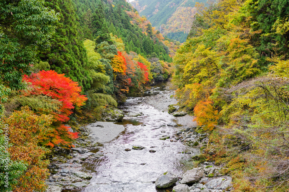 みたらい渓谷（奈良県吉野郡天川村）の紅葉