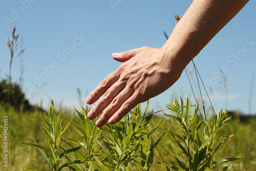Young man left hand and green grass. Photo was taken 29 June 2022 year, MSK time in Russia. © Pavel Kubarkov