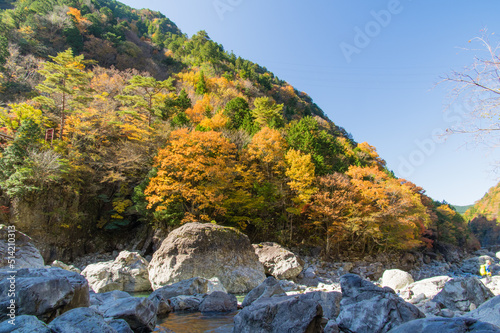 みたらい渓谷（奈良県吉野郡天川村）の紅葉