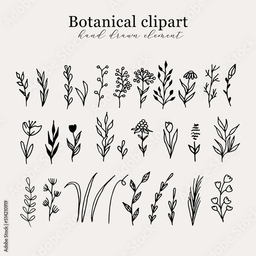 Minimalist Flower Line art Plant. Set of Hand Drawn Botanical Outline Flower and leaf. Collection of Boho Flower for Logo design for for hotel, boutique, cafe, shop, blog, photography, organic shop.