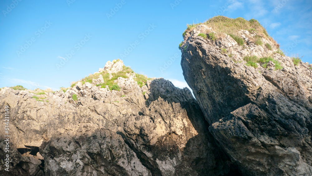 Arbustos silvestres en conjuntos rocosos de litoral