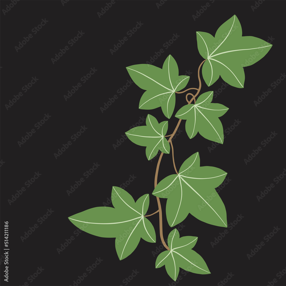 Simplicity ivy freehand drawing flat design. Simplicity ivy freehand drawing flat design.