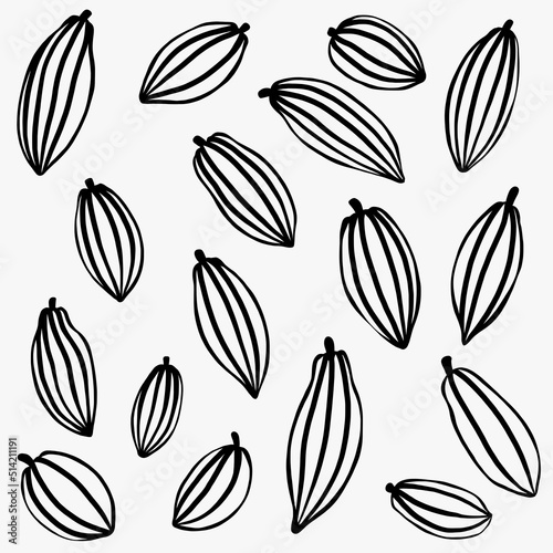 Cacao pods which is raw ingredient for chocolate freehand drawing.