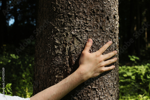 Young man hand touching tree trunk in the spruce forest. Photo was taken 29 June 2022 year, MSK time in Russia.