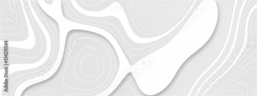 The stylized height of the topographic map in contour, lines. Torn paper edges for background. Ripped paper texture on transparent background. Paper art abstract gray and white water waves.