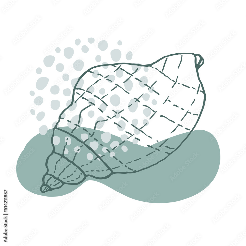 Hand-drawn seashell spiral with a texture of many dots. Hand-drawn seashell spiral with a texture of many dots.