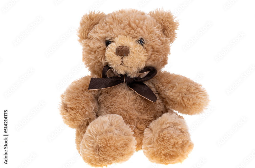 bear toy isolated