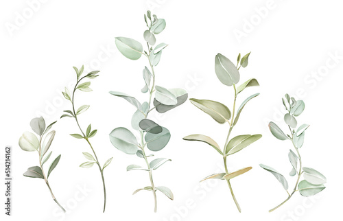 Wallpaper Mural Watercolor branches set. Big collection of hand painted botanical illustrations isolated on white. Abstract and realistic eucalyptus collection Torontodigital.ca