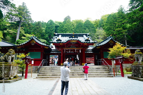 Wallpaper Mural 箱根神社の鳥居 Torontodigital.ca