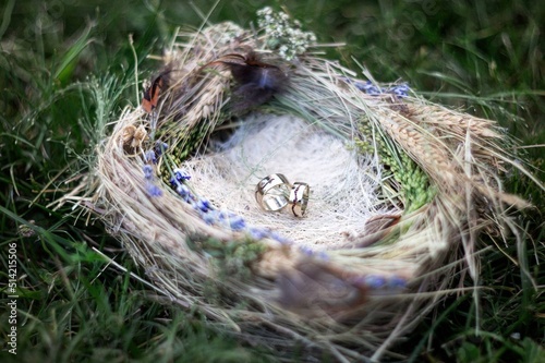 wedding rings lie in a bird's nest
