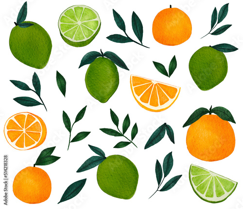 Watercolour Tropical Orange and Grapefruit design Collection on white background. Hand Drawning Citrus Fruit , full and cut, green branch leaves. Illustration