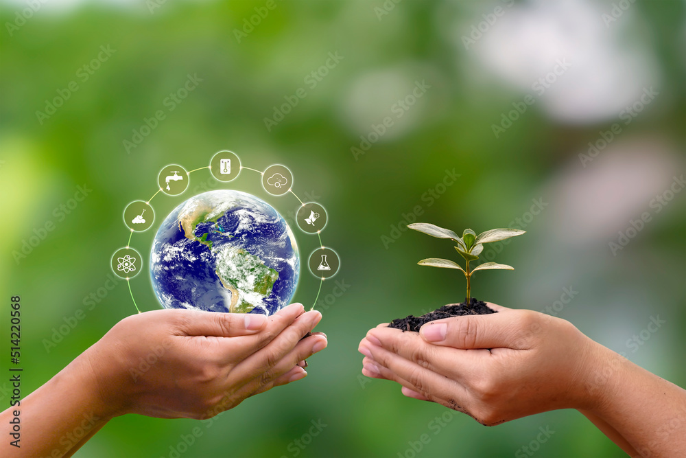The exchange of planets in human hands and plants in human hands. earth day concept (Elements of this image furnished by NASA)