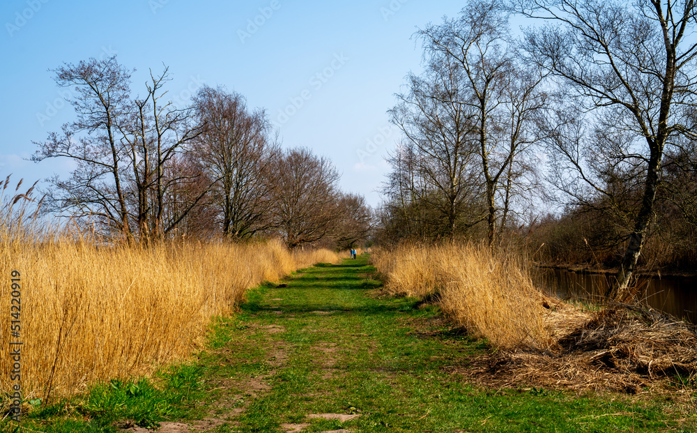 Path in the marshlands on a sunny winter day
Path in the marshlands on a sunny winter day