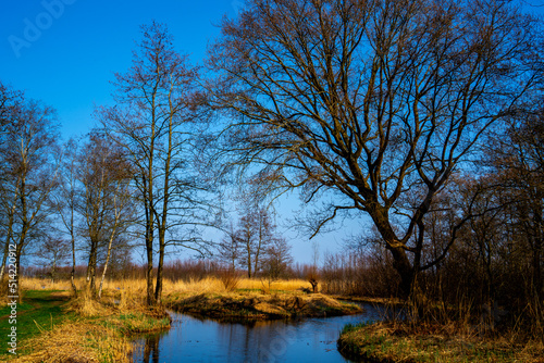 Channel in the marshlands on a sunny winter day
