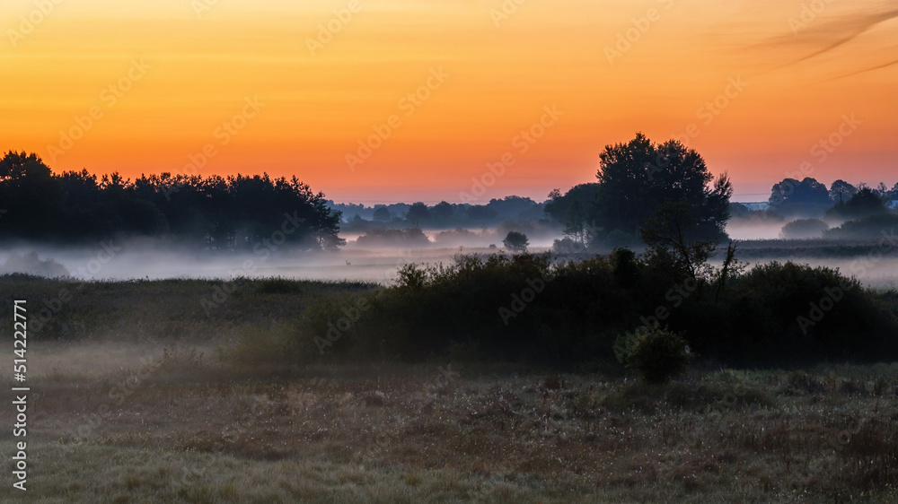 Fototapeta premium Poranne mgły w Dolinie Narwi, Podlasie, Polska