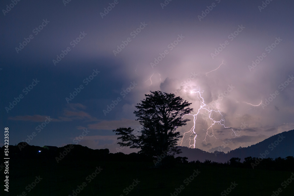 Silhouette of tree at night, thunderstorm in rural Guatemala, winter night.
