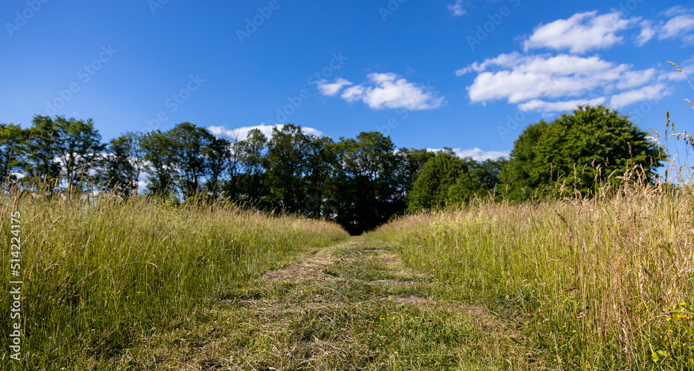 A rural mowed road against a blue sky background runs through tall grass, illustrating the idea of travel and tourism.