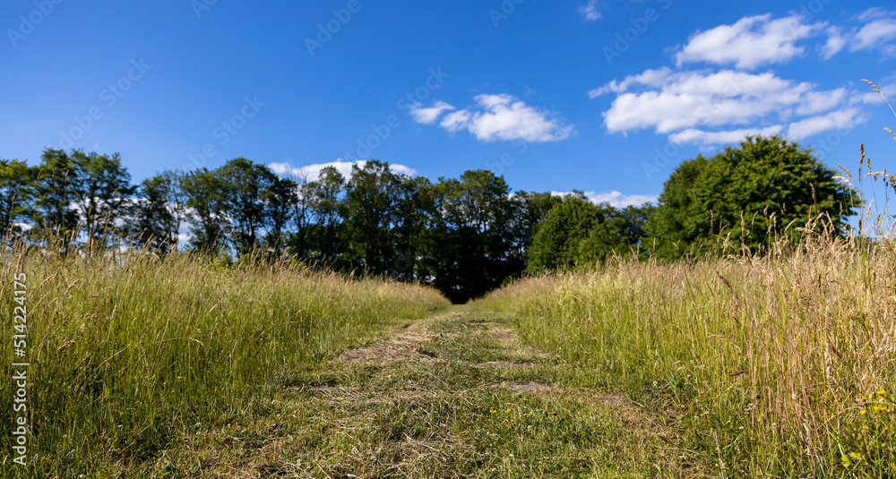 A rural mowed road against a blue sky background runs through tall grass, illustrating the idea of travel and tourism. A rural mowed road against a blue sky background runs through tall grass, illustrating the idea of travel and tourism.