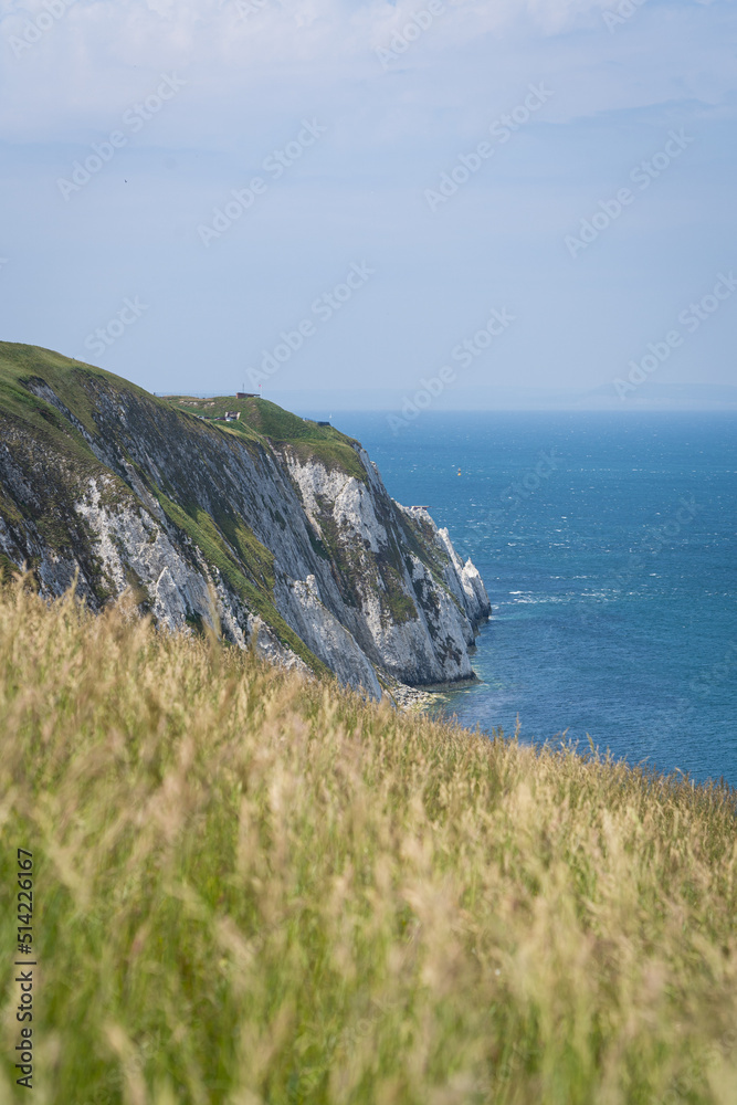 the needles