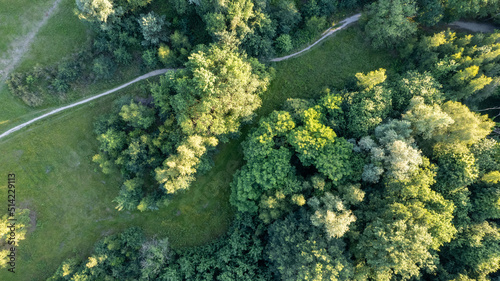 Aerial top view rural road in the forest, dirt road or mud road and rain forest, Aerial view road in nature, Ecosystem and healthy environment. High quality photo