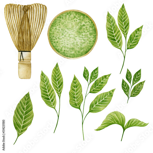 Set of watercolor illustrations whisk, cup of tea, matcha tea leaves.