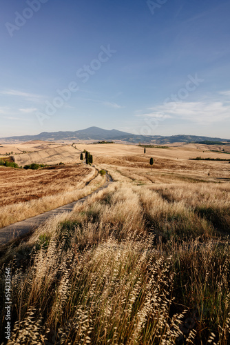 Obraz na płótnie Tuscany, summer landscape, golden fields. Italy w salonie