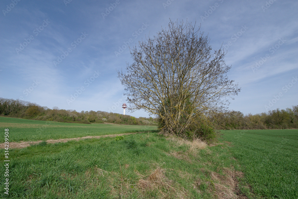 A protected natural area in Ile de France, the Essonne cirque near Villabé A protected natural area in Ile de France, the Essonne cirque near Villabé