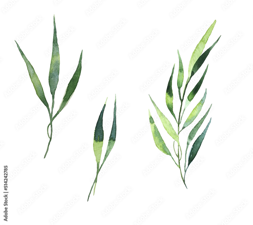 Fototapeta premium Seamless watercolor illustration of green leaves and branches, circles, on white or black background, suitable for wallpaper, cards, clothing, textiles, fabric, packaging, clothing, dress, invitations