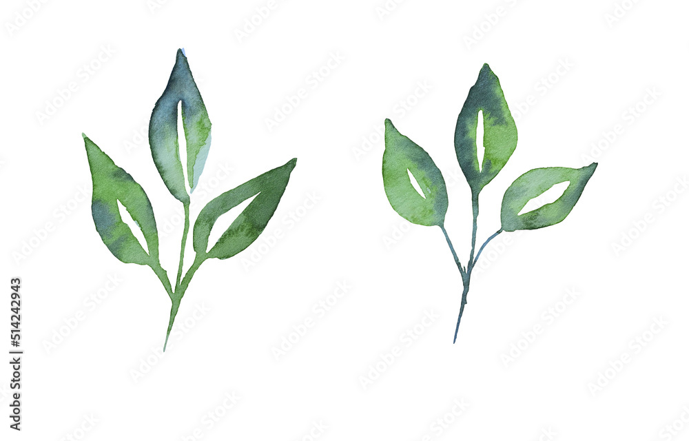 Obraz premium Seamless watercolor illustration of green leaves and branches, circles, on white or black background, suitable for wallpaper, cards, clothing, textiles, fabric, packaging, clothing, dress, invitations