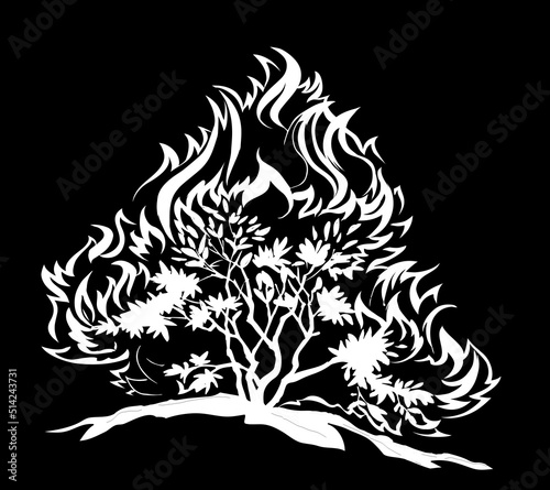 Burning bush. Vector drawing icon