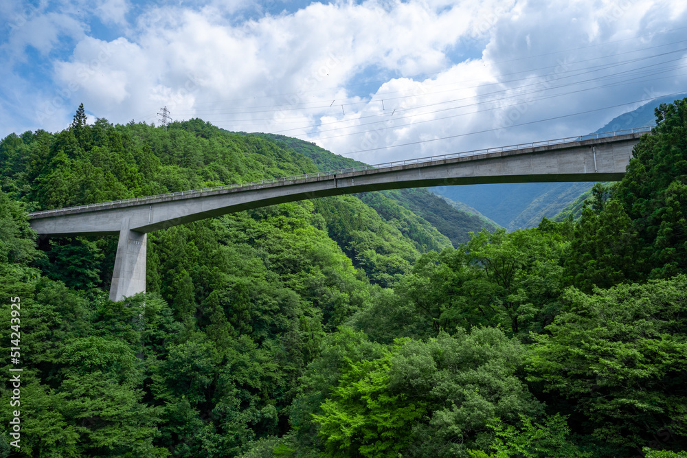 Fototapeta premium 会津鉄道会津線からの車窓