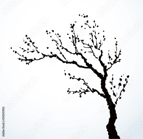 Vector image of mighty tree with bare branches