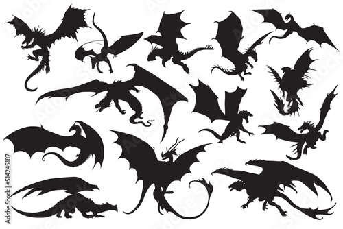 Valokuva dragon silhouettes