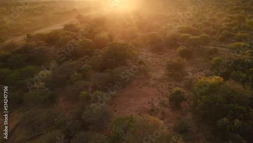 Epic video of the mist covering the African savannah forest at dawn light. Aerial photo