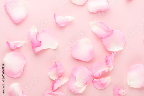 Rose flowers petals on pastel background. Valentines day background. Flat lay, top view, copy space.