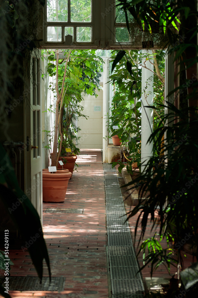Tropical botanical garden greenhouse