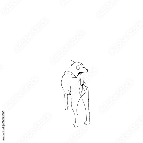 white elephant isolated on white