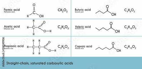 Straight-chain, saturated carboxylic acids (alkanoic acids). Chemical and structural formulas. Formic, acetic, propionic, butyric, valeric , caproic acid. Vector illustration. photo
